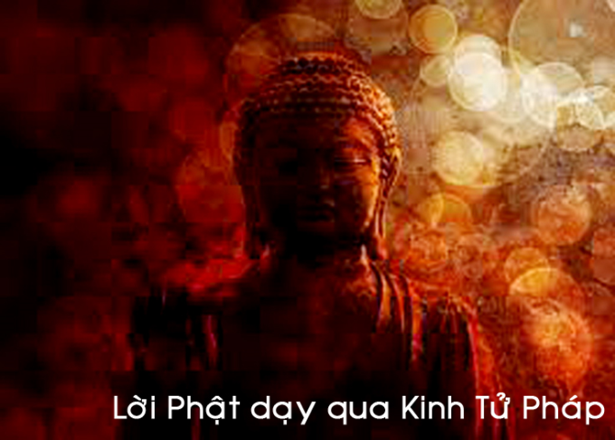 Học lời Phật dạy qua Kinh Tử Pháp